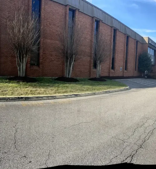 mulch tree rings roanoke