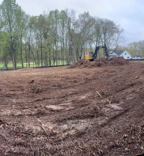 tree clearing roanoke